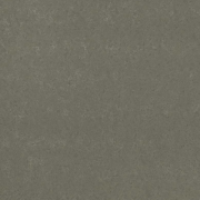 Babylon Gray® – Concrete Finish